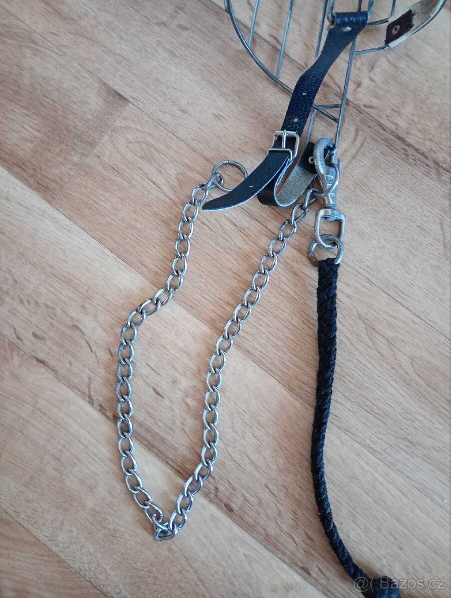 Prodam kosik(nahubek),stahovaci obojek a voditko - 2