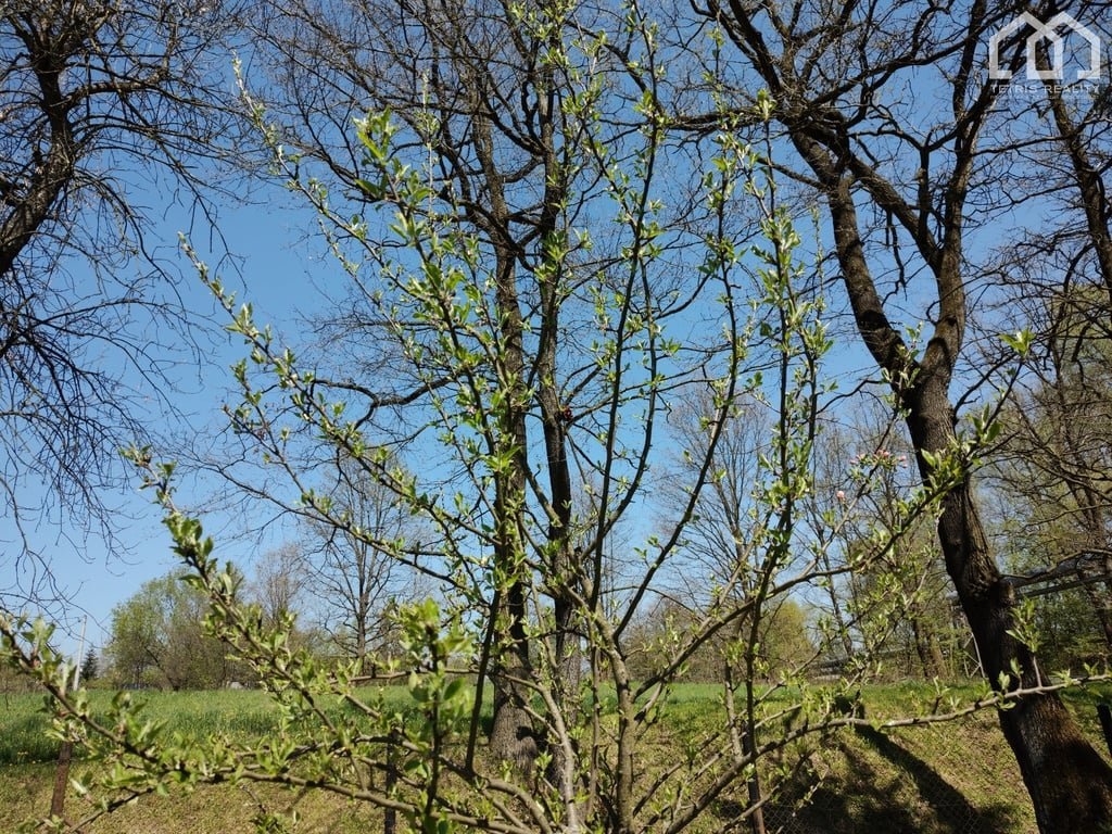 Prodej pozemku, 1187 m2, Dolní Suchá - 2