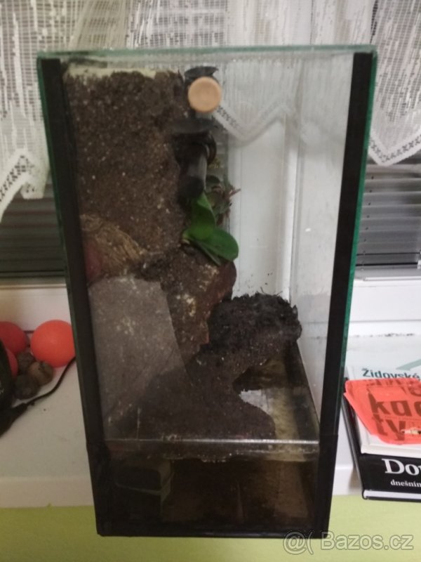 Terárium s bazénem - 2