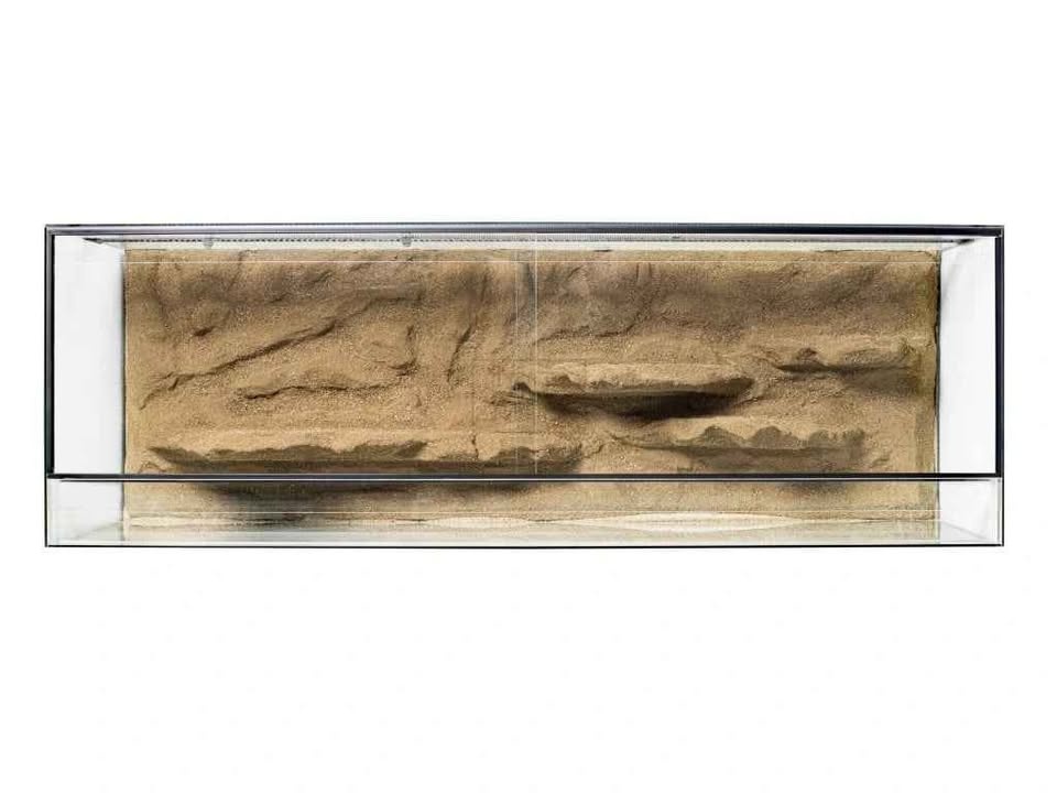 Velké terárium - 2