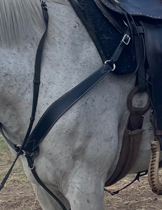 Černý kožený poprsák - 2