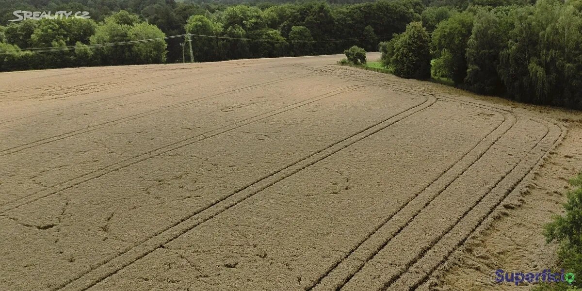 Prodej pole 3681 m² Vyskeř - 2