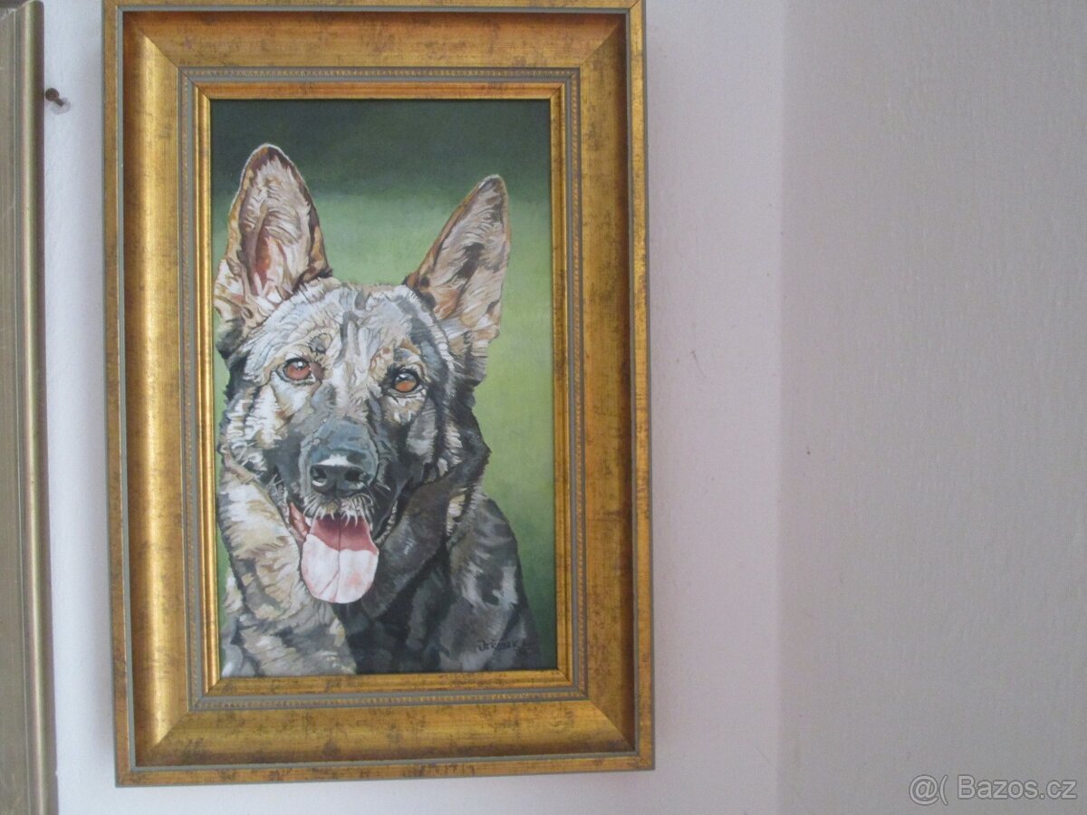 buldoček-olejomalba - 2