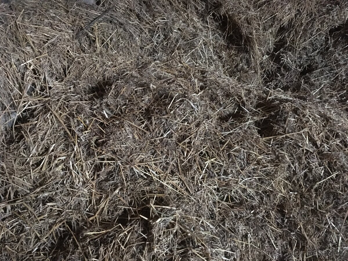 Seno za odvoz - 2