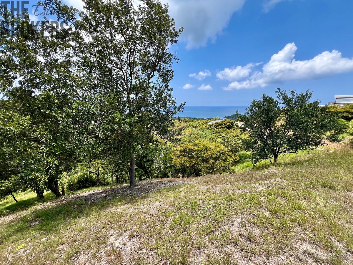 Sunny Hill#20 Diamond Hill Resort, Roatan - 2