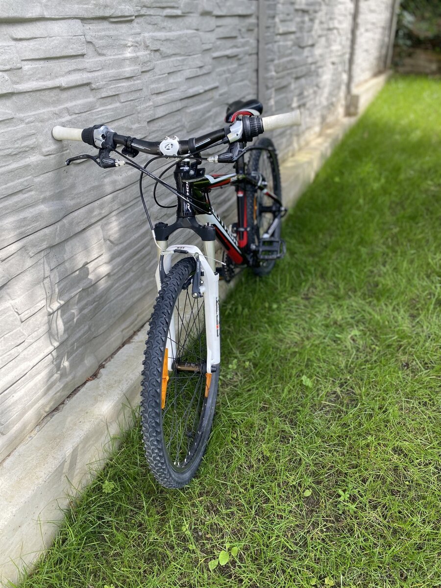 Author Sonic 24” - 2