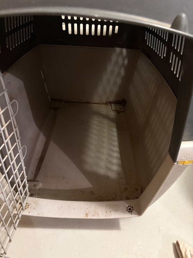 Přepravní box pro psa - 2