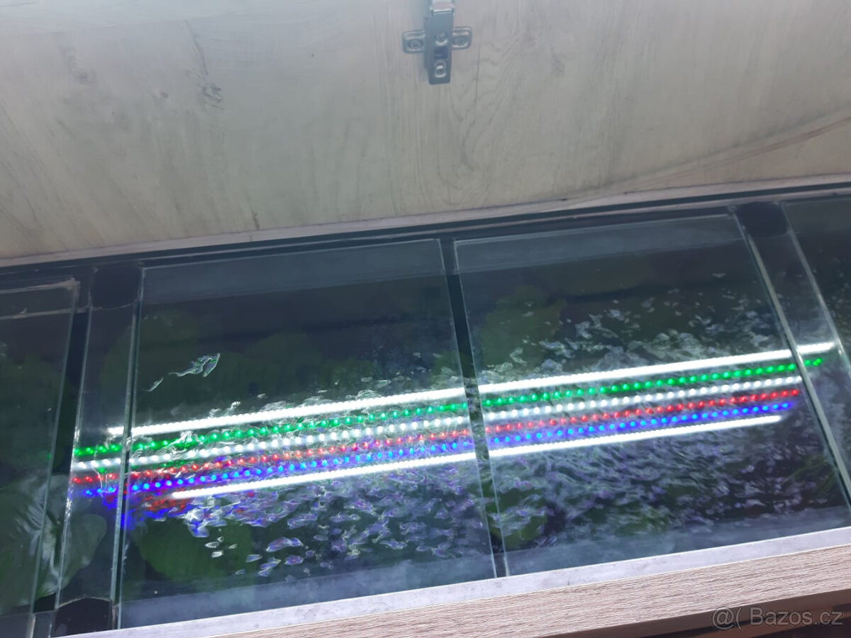 Akvarium/terarium - 2