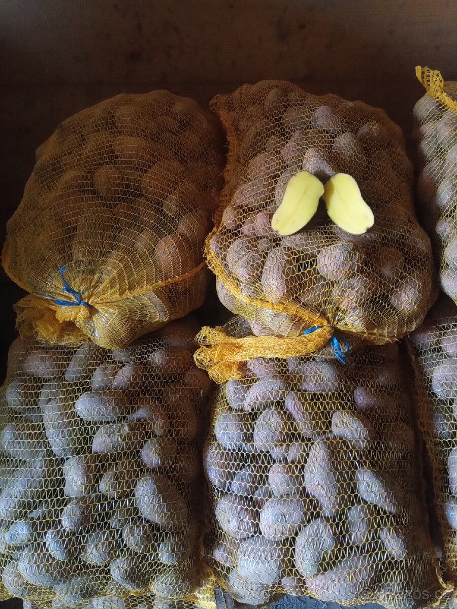 Prodám brambory na uskladnění odrůda Laura - 2