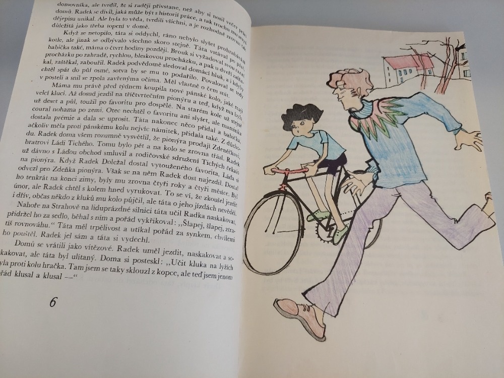 Helena Hodačová - Radek, brouk a Andulka Šafářová kniha děti - 2