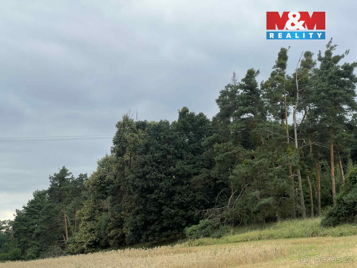 Prodej lesa, 4321 m², Tři Dvory - 2