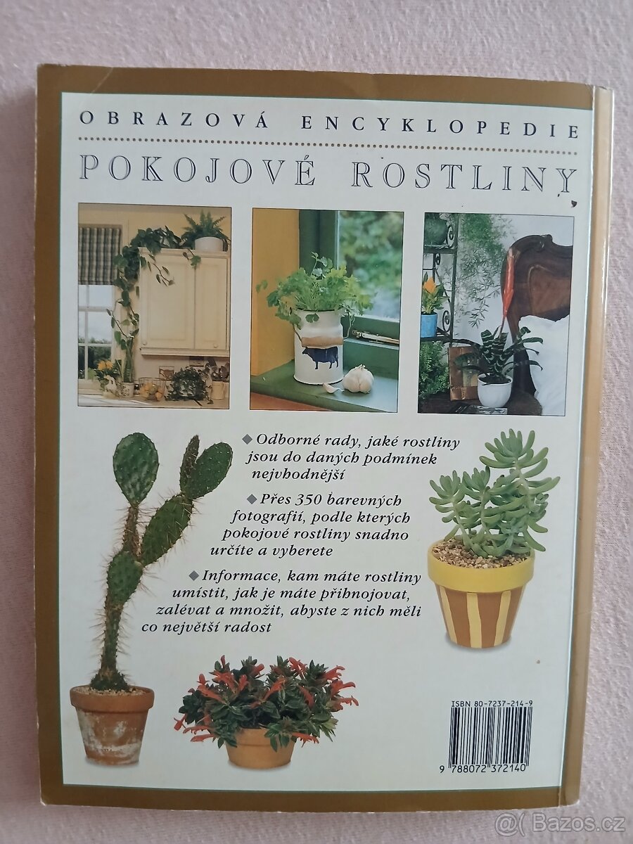 Pokojové rostliny - 2