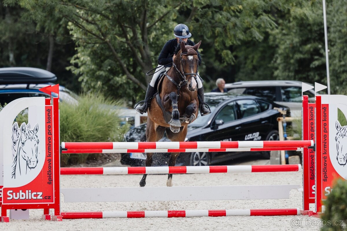 Klisna do sportu či k rekreaci - 2