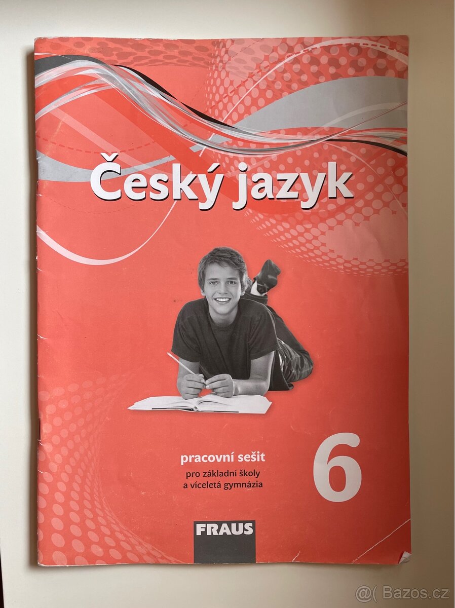 Pracovní sešit pro ZŠ - Český jazyk (6-9) - 2