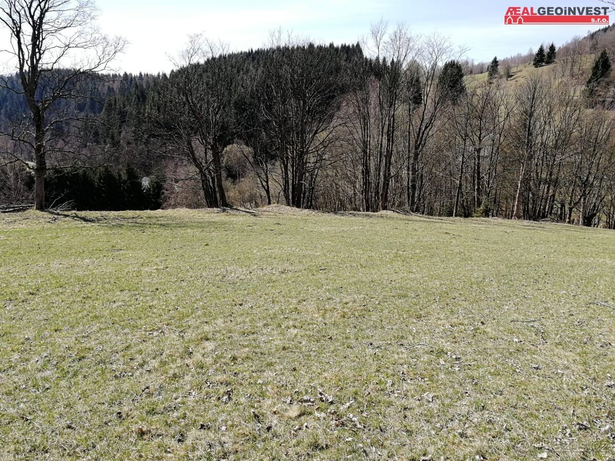 Stavební pozemek 1100m2 Velké Vrbno, Ski areál Paprsek - 2