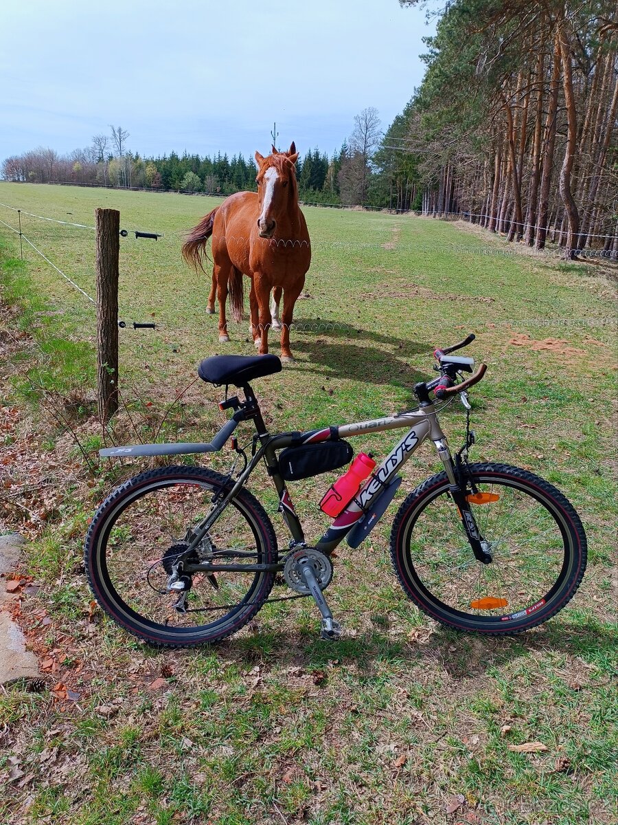 Pánské horské kolo Kellys - 2