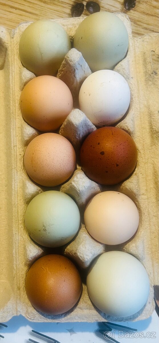 Násadová vejce - 2