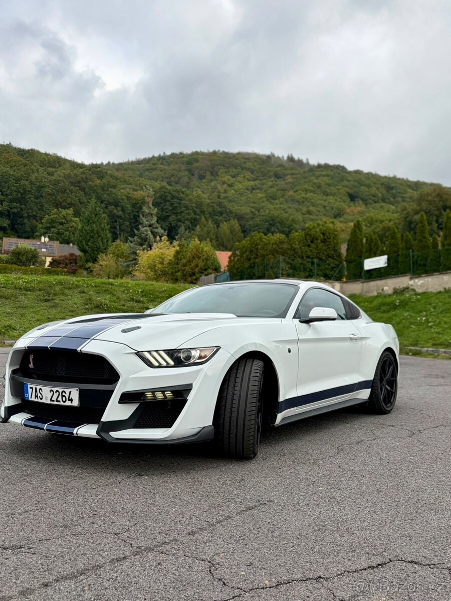 Ford Mustang 3.7 Shelby paket - 2
