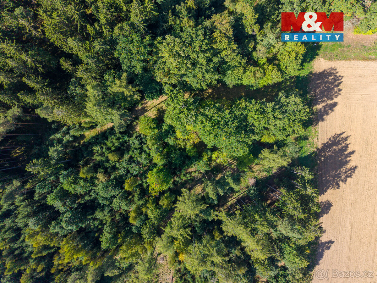 Prodej lesa, 1.757 m², Podhrad, Cheb - 2