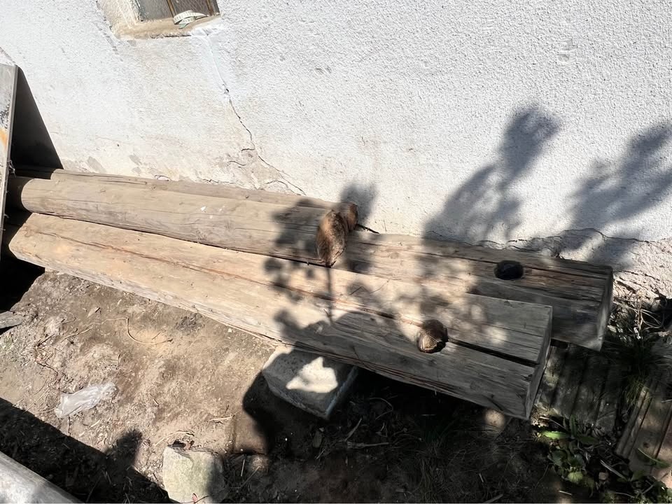 2x trámy a 2 kule - 2