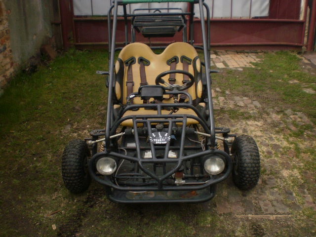 buggy 110