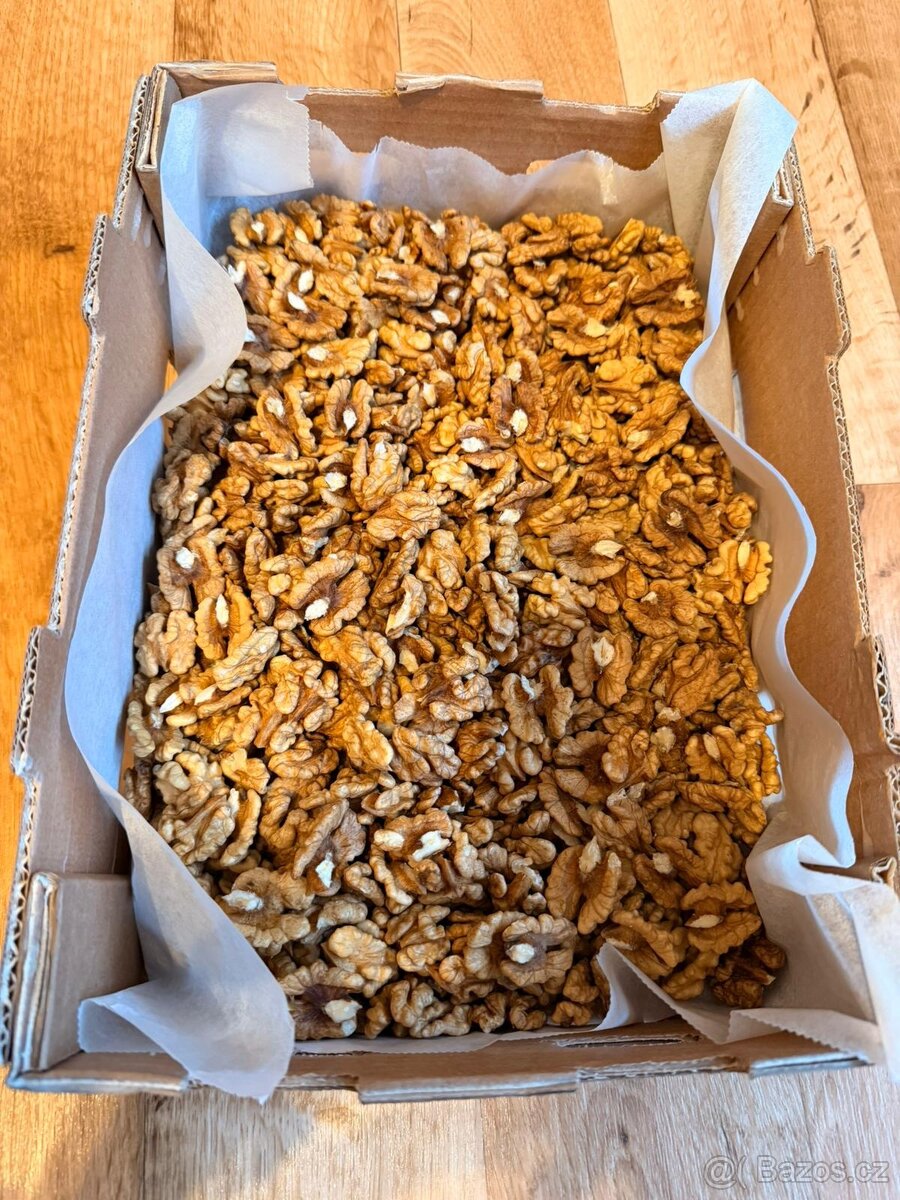 Loupané vlašské ořechy – sklizeň 2025 - 2