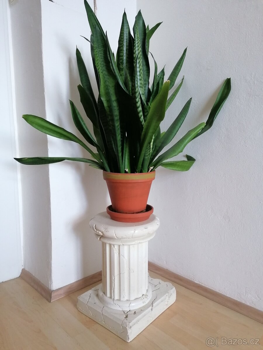 Antický sloup - dekorace - 2