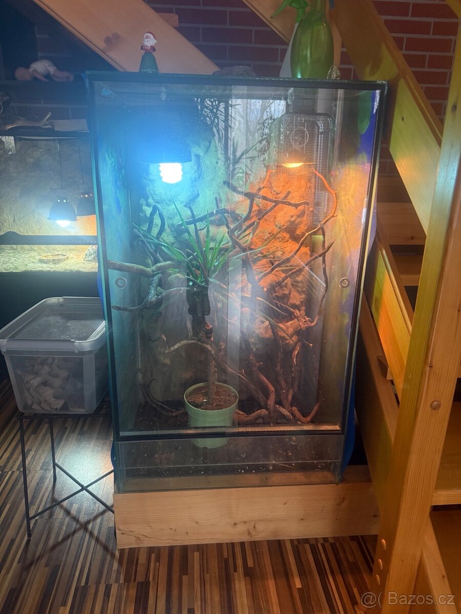 Prodám terárium - 2