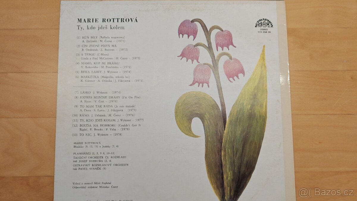 Marie Rottrová - Ty, kdo jdeš kolem - 2