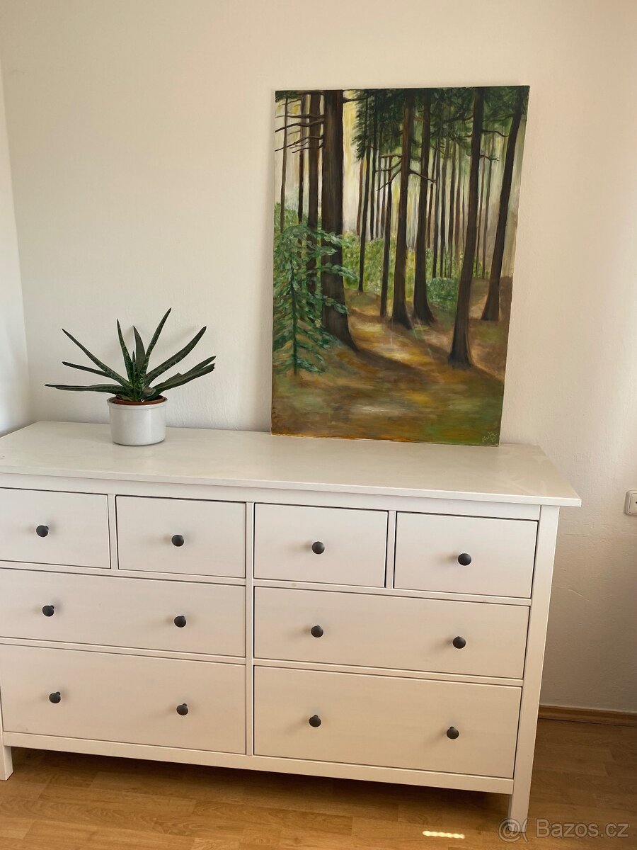 Obraz les v Beskydech - 2