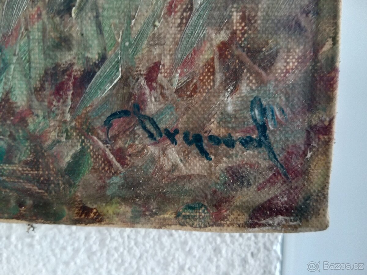 Káčata na potoce - 2