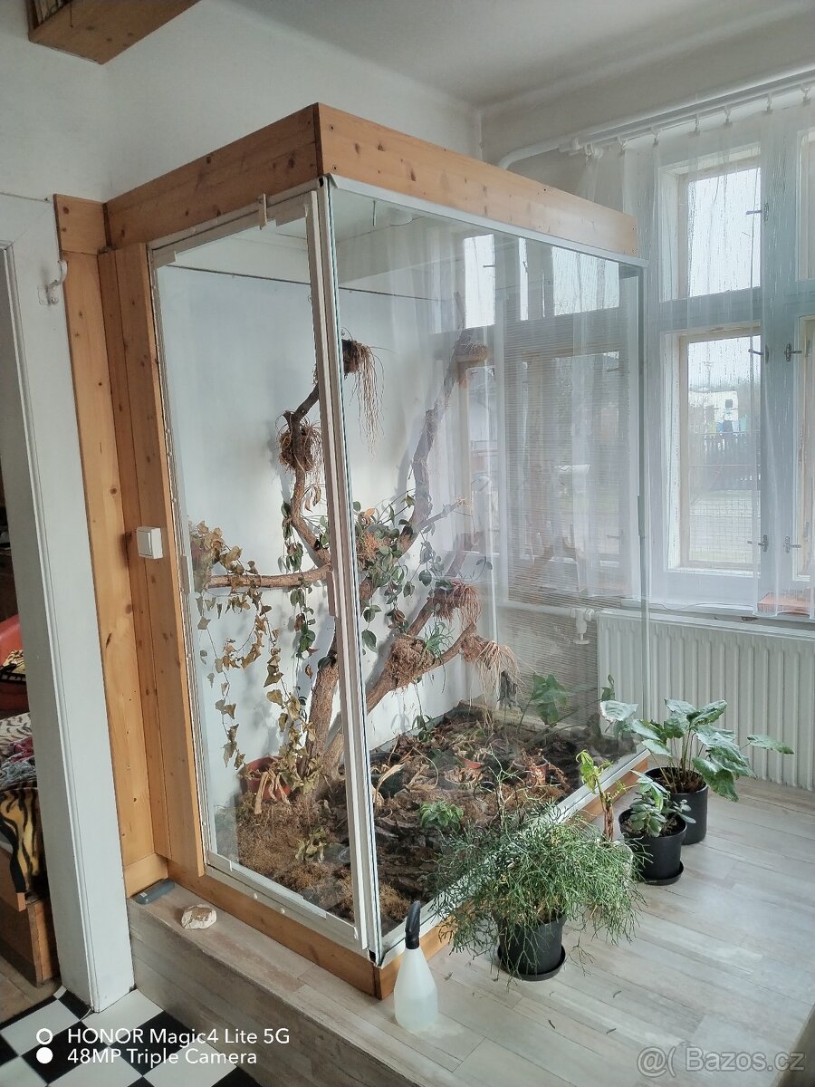 Bytový skleník na epifytní rostliny - 2