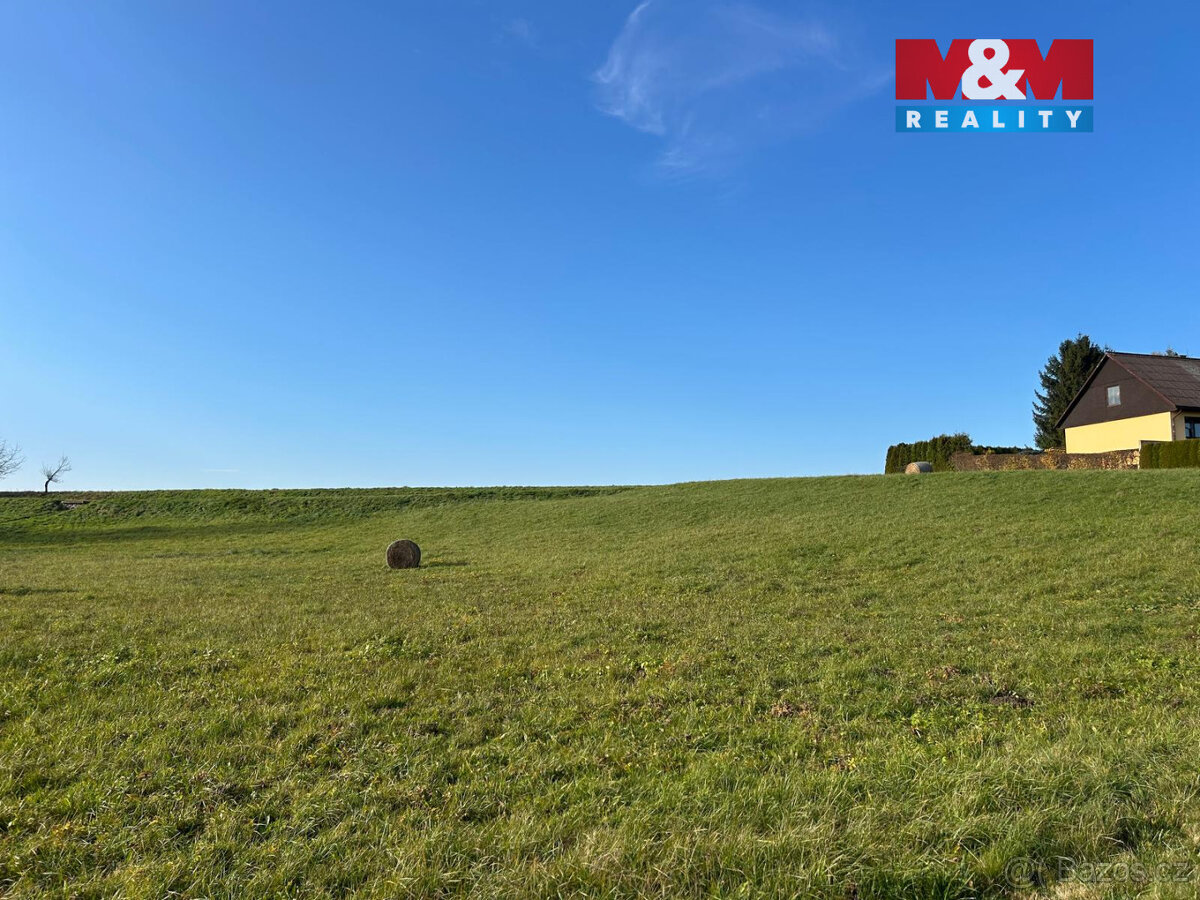 Prodej louky, 5000 m², Žichlínek - 2