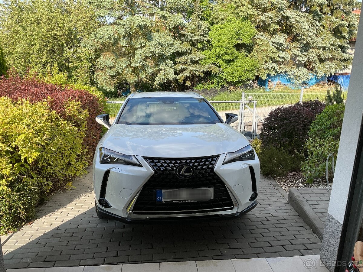 Lexus UX 250h, 4x4 E-FOUR LUXURY+ - 2