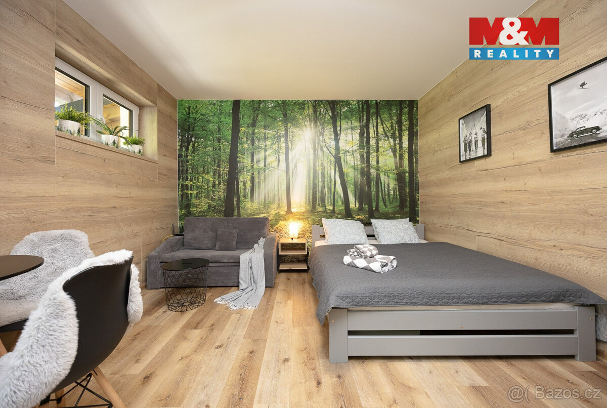 Prodej apartmánu 1+kk, Vrbno pod Pradědem, ul. Žižkova - 2