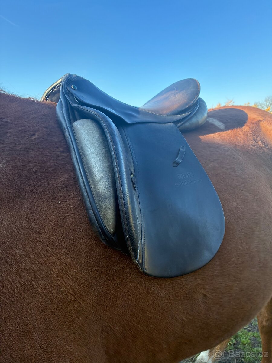 Drezurni sedlo - 2