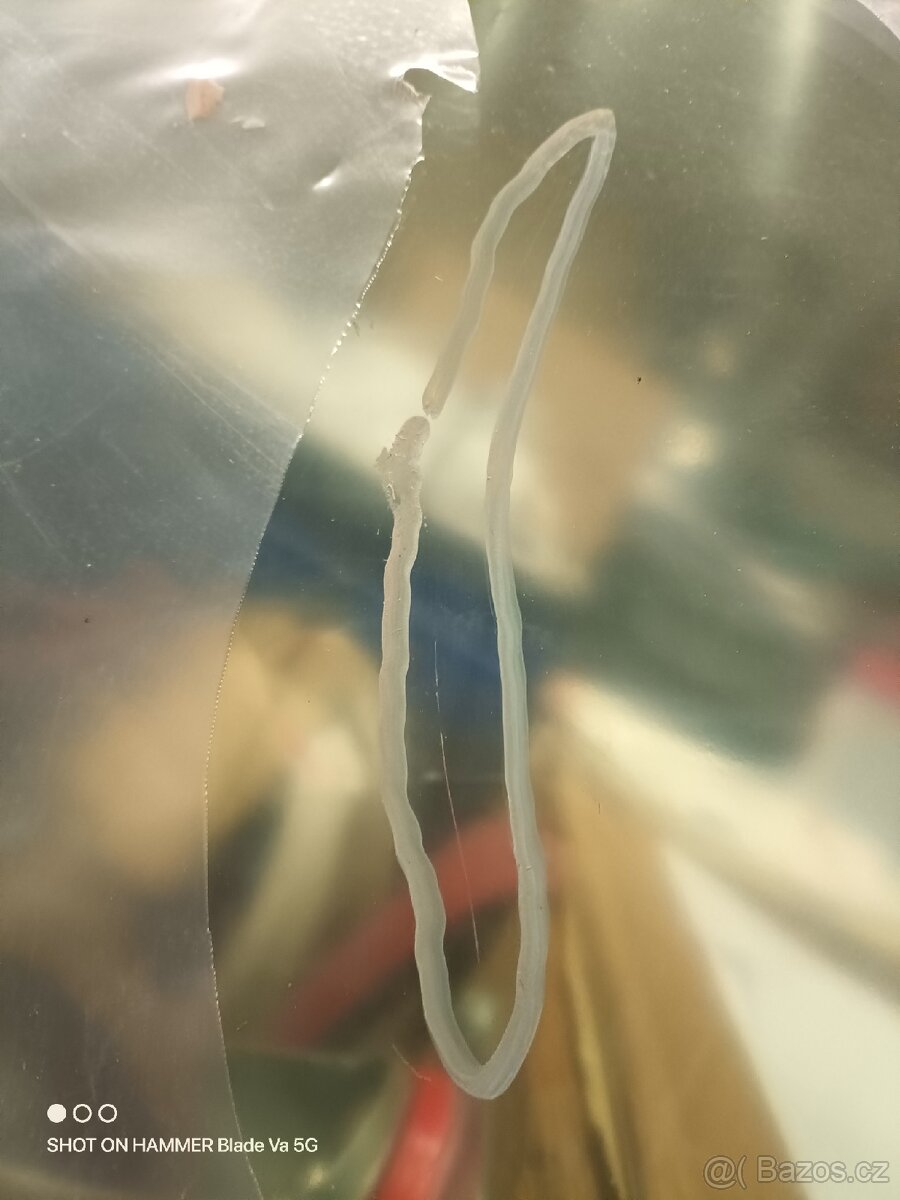 Čelni sklo Kramer - 2