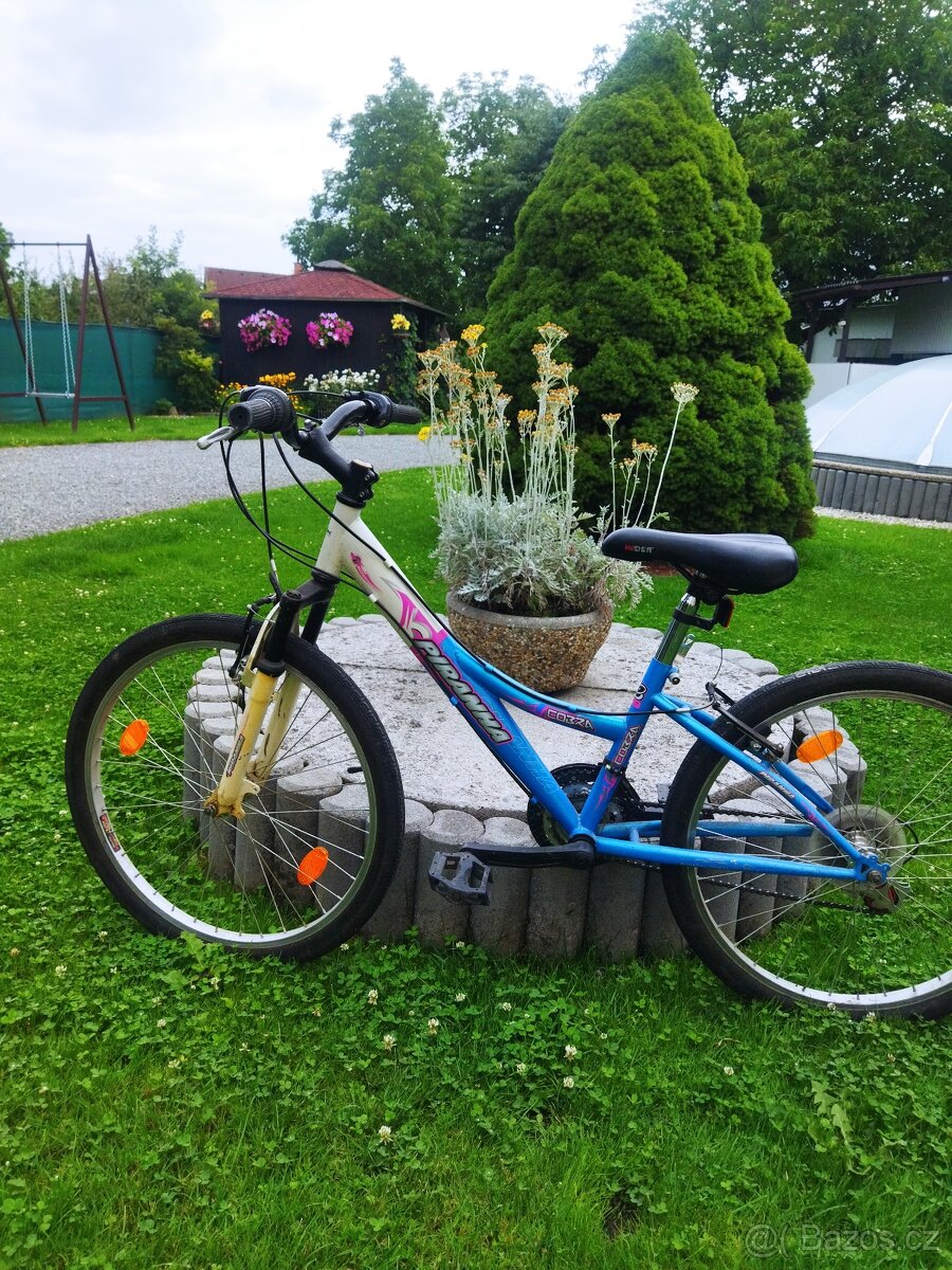 Dětské kol - 2