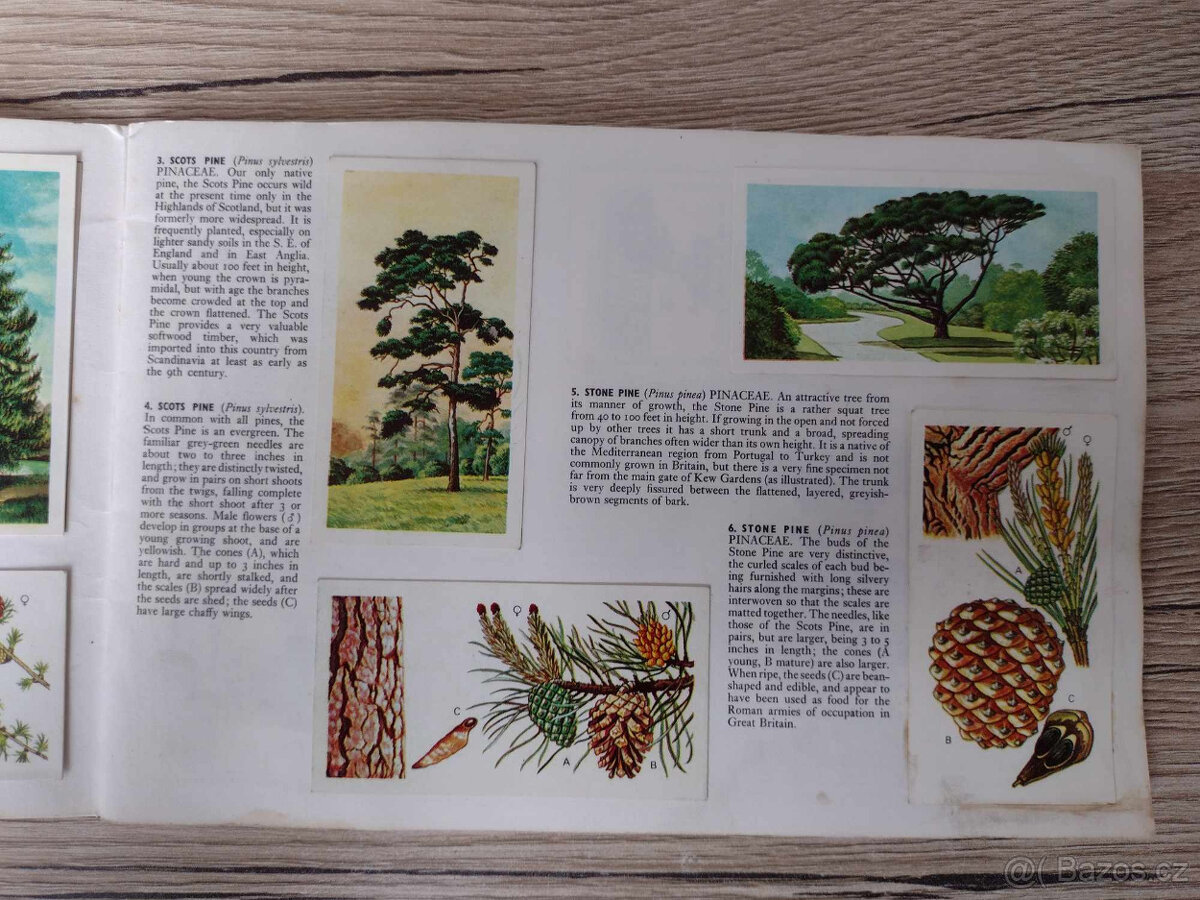 Predám britské albumy s nálepkami - 2