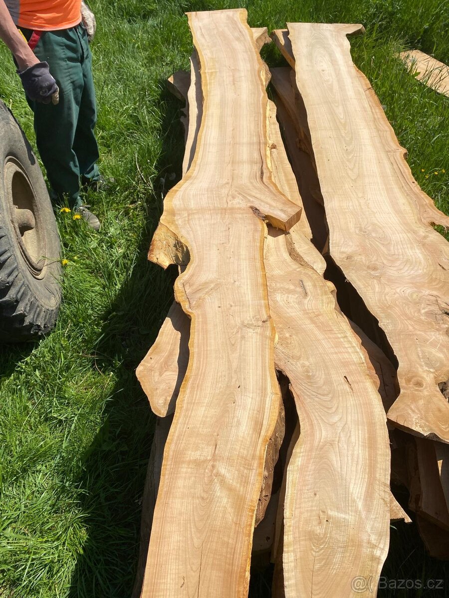 Fošny třešeň - 2