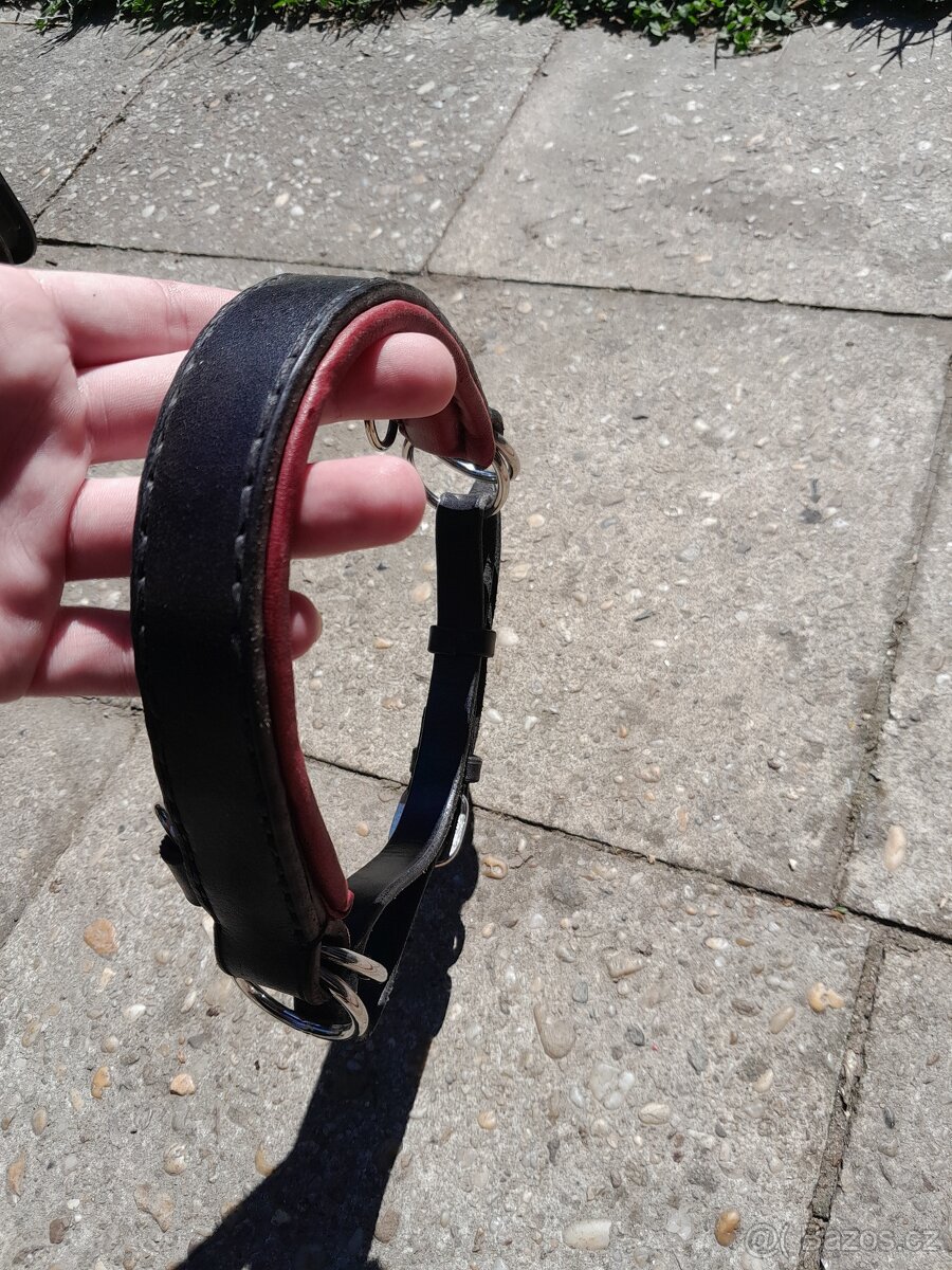 Obnosek, sidepull - 2