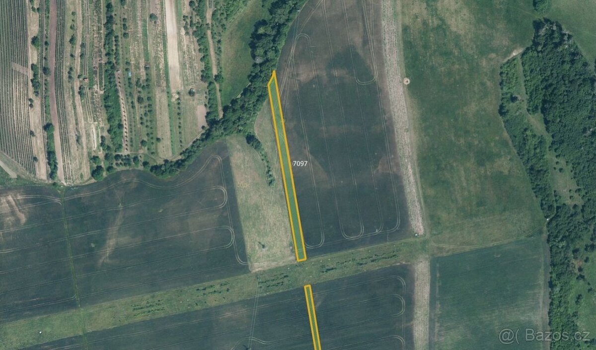 Zemědělská půda, prodej, Milotice, Hodonín - 2