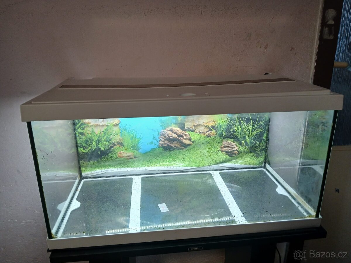 Akvárium - 2