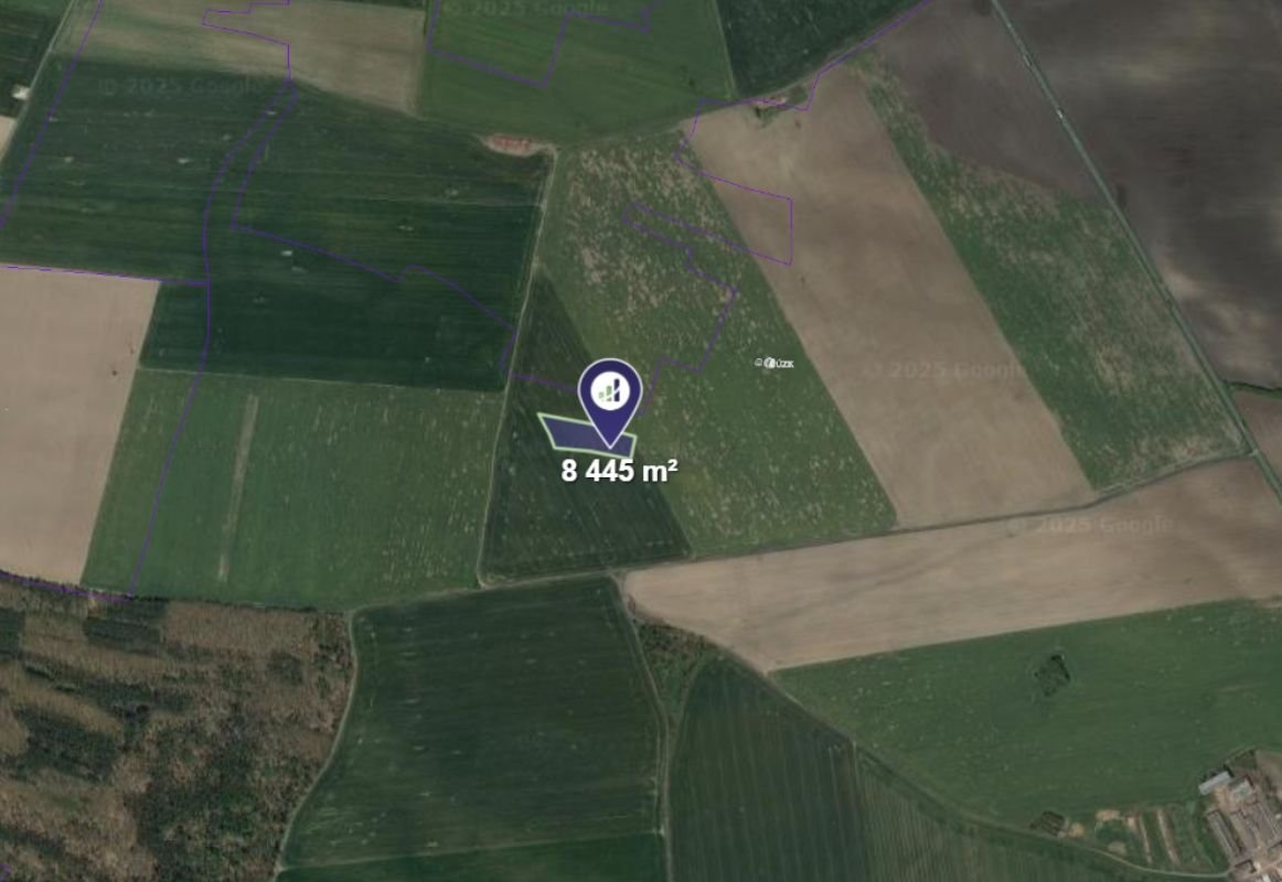 Prodej podílu 1/3 pole 2 815 m², Luštěnice - 2