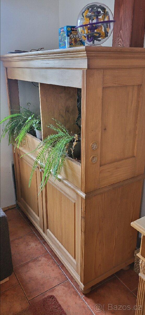 Terarium drevene - 2