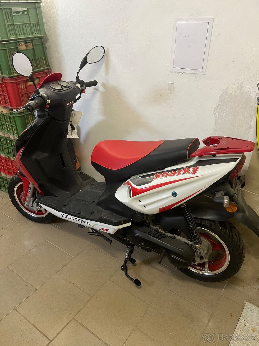 Kentoya sharky 50 - 2