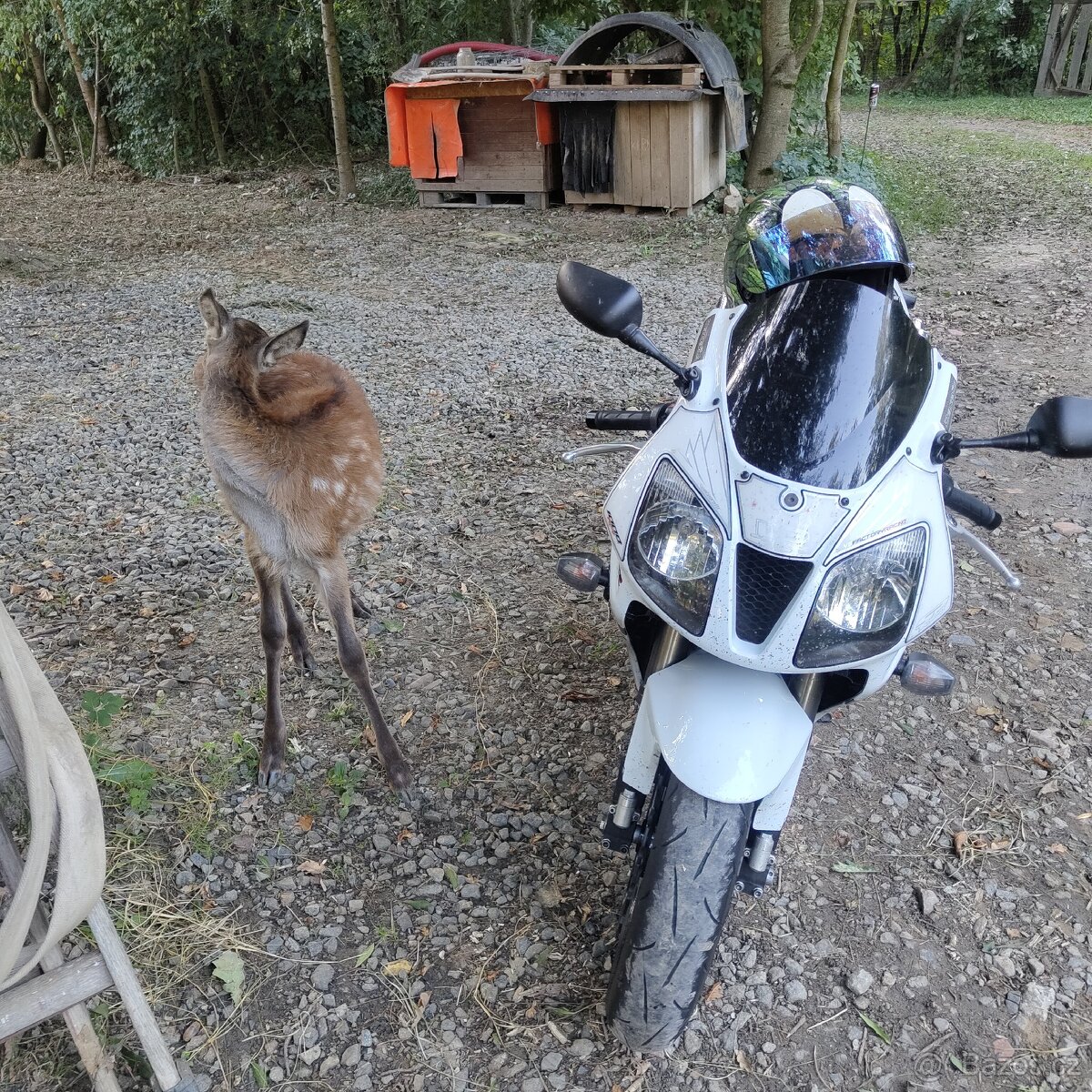 Honda VTR SP2 2005 USA verze - 2