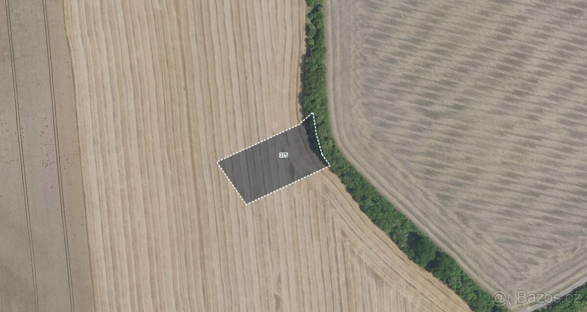 Zemědělská půda, prodej, Jíkev, Nymburk - 2