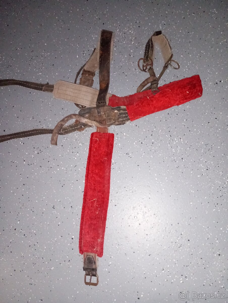 Postroj na sáňkování - 2