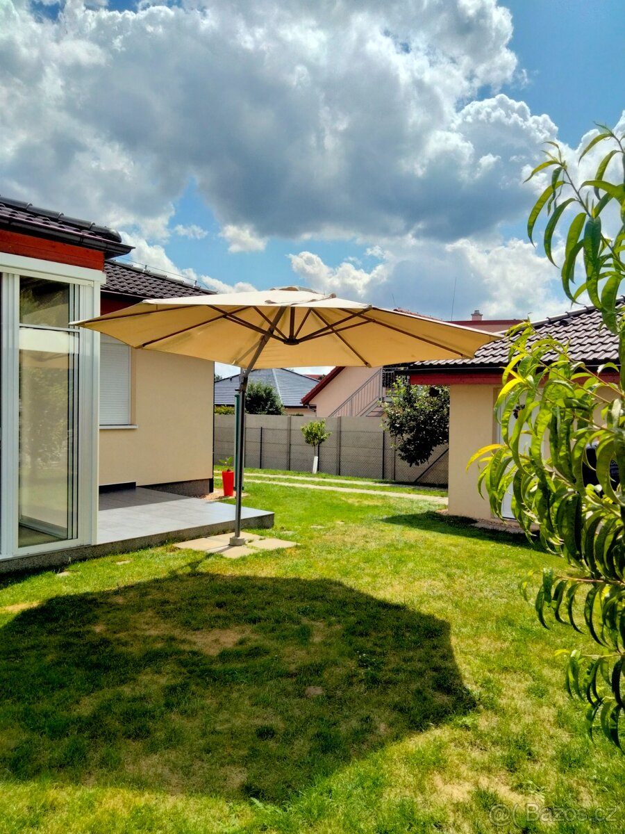 Slunečník zahradní - 2